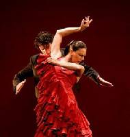 thumbnail of Flamenco, Markéta (červen 2009)